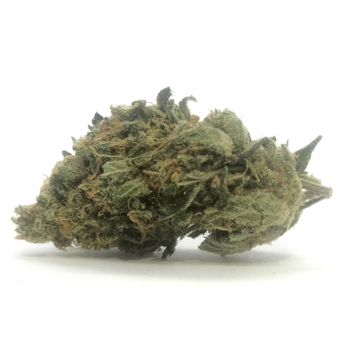 Cannabis